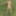 On the river bank, on the grass, in a public place without p #5