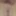 Oktober 12, 2024 Daily duty of the naked slave