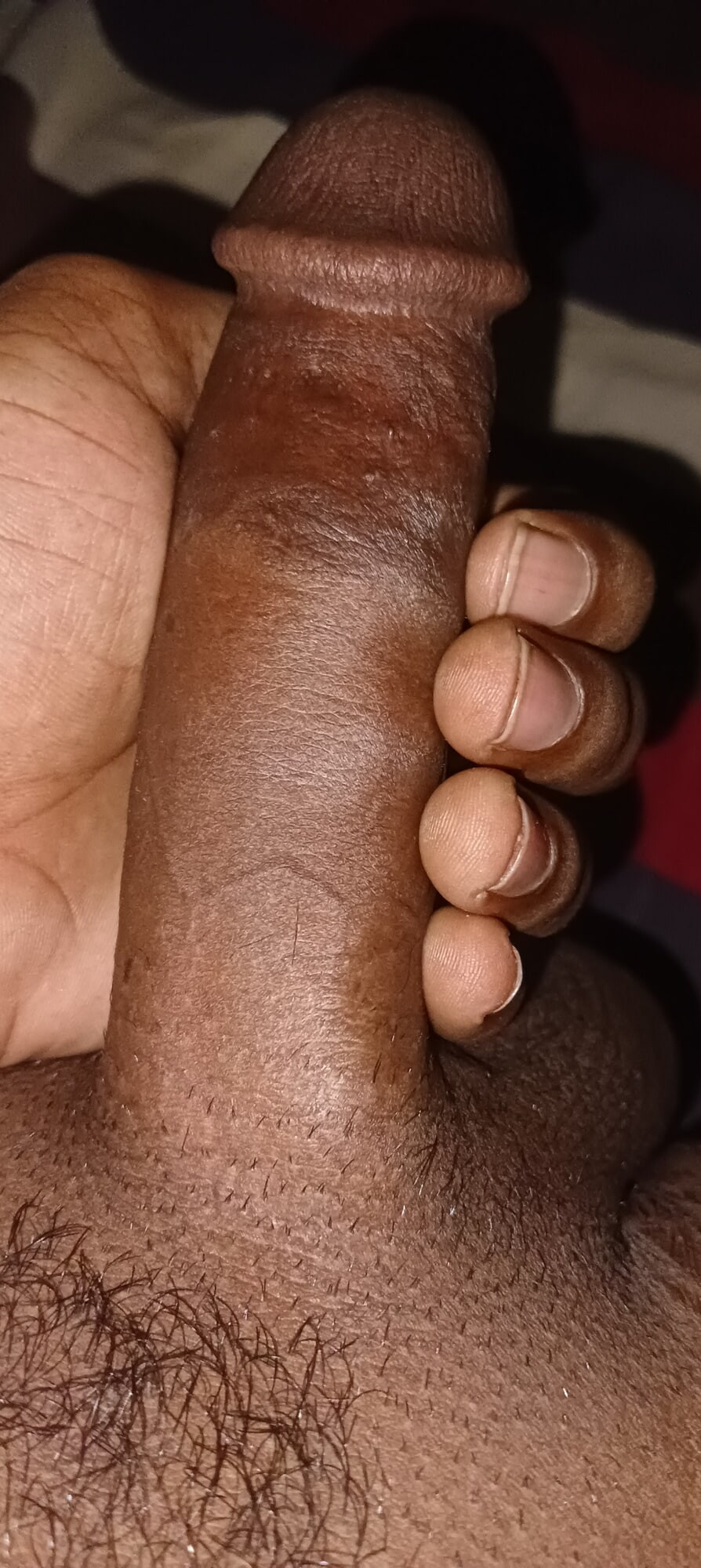 Desi lundd #9