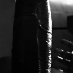 Blackedkalapanther