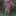 Flowered dress #41