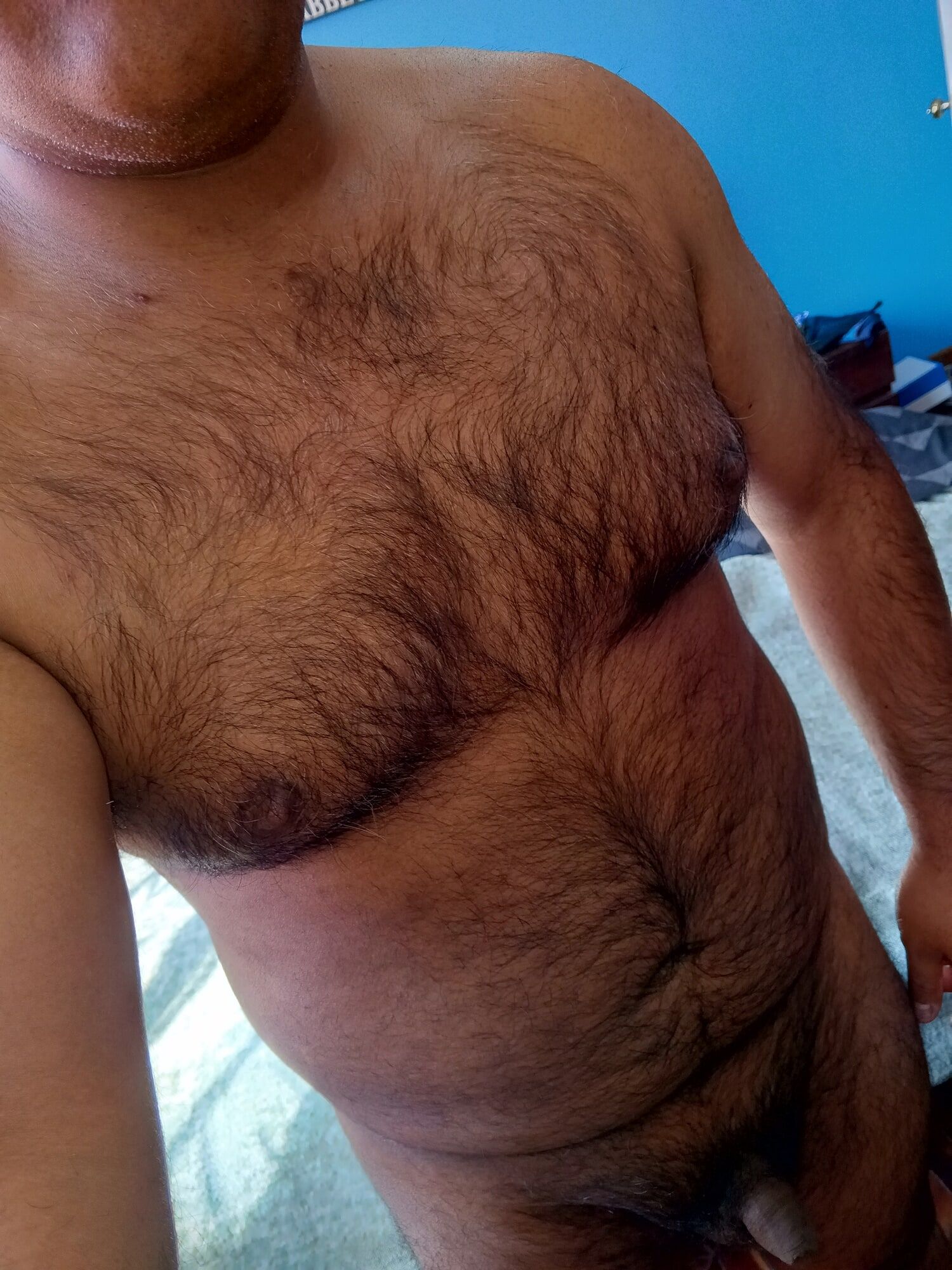 Oso peludo #4