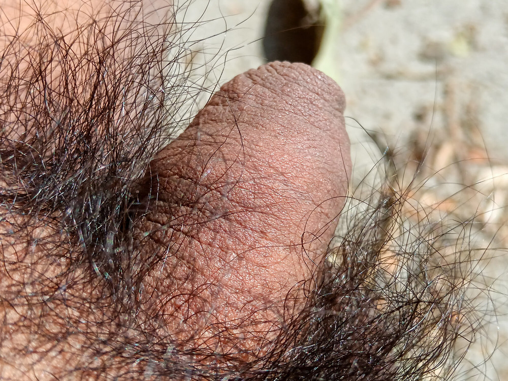 My nice flaccid penis after 9 months without shaving #3
