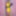 Joanie - Yellow Pencil Dress II #24