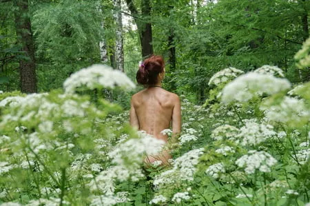 in white flowers           