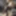 Ücretsiz yüce evli kadın fotoğrafları