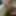 Mature 42 yrs Black dick oiled at home