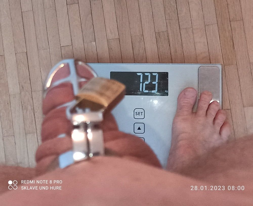 weighing, cagecheck nippleclamp  of 28.01.2023 #5