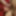 Annadevot: 10 cumshots #14