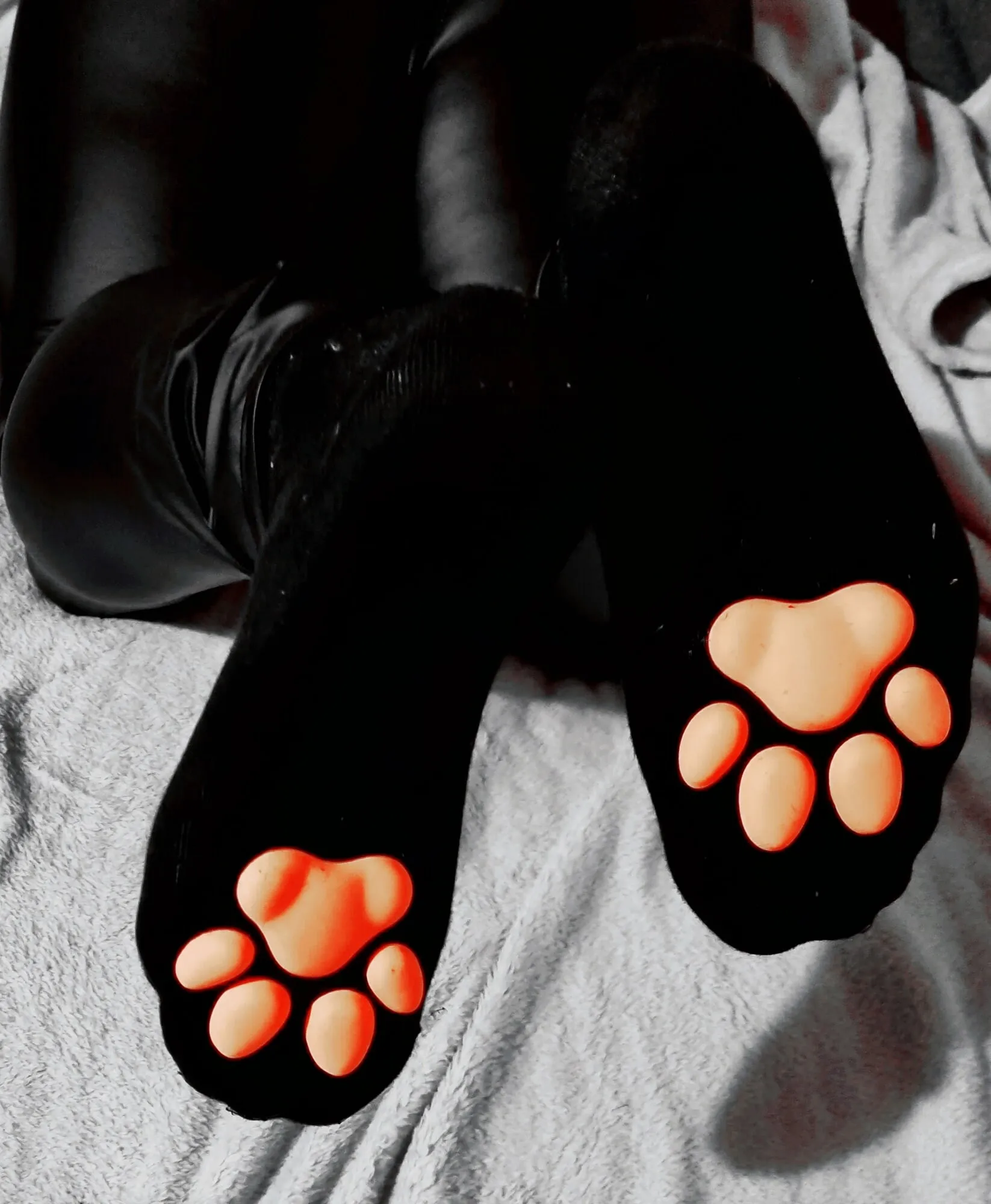 My sweet Paw socks