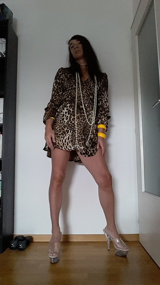 Tygra in her new leopard dress. #2