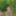 Young wife undresses and walks naked in the forest park #8