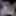 本物のコックをファックし始めるのが待ちきれません。