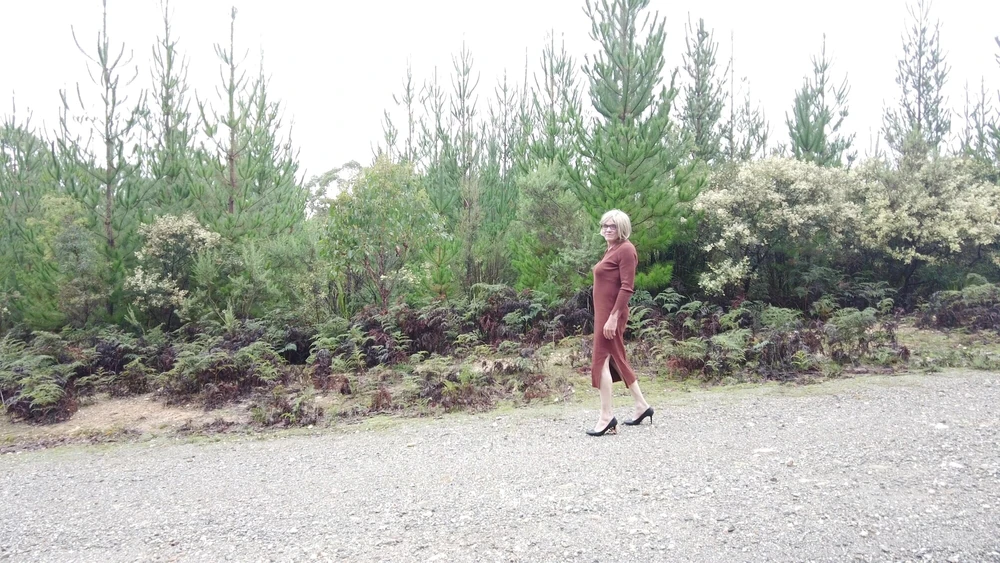 Crossdress - Roadtrip - New Pine Plantation #2
