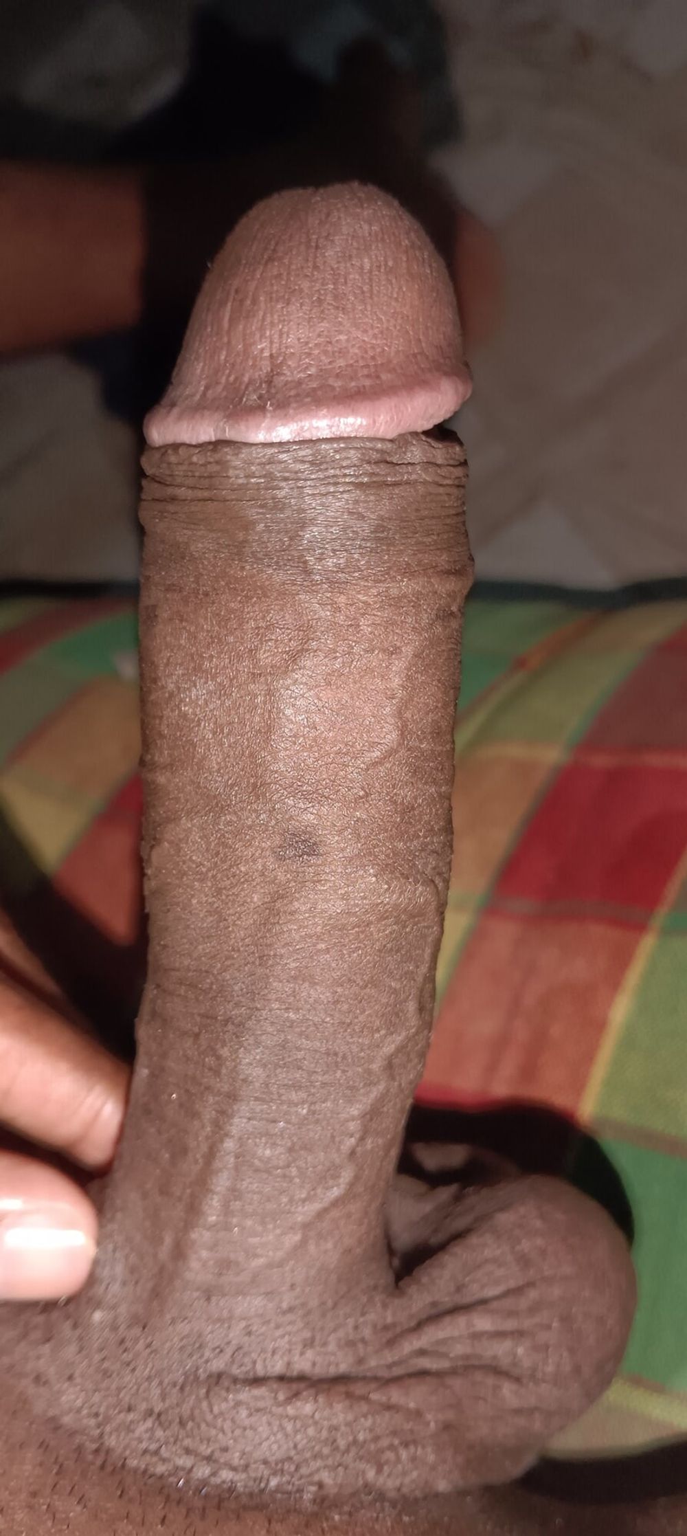 My Big cock photos #7