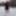 Pregnant flashing naked in the cold snow #46