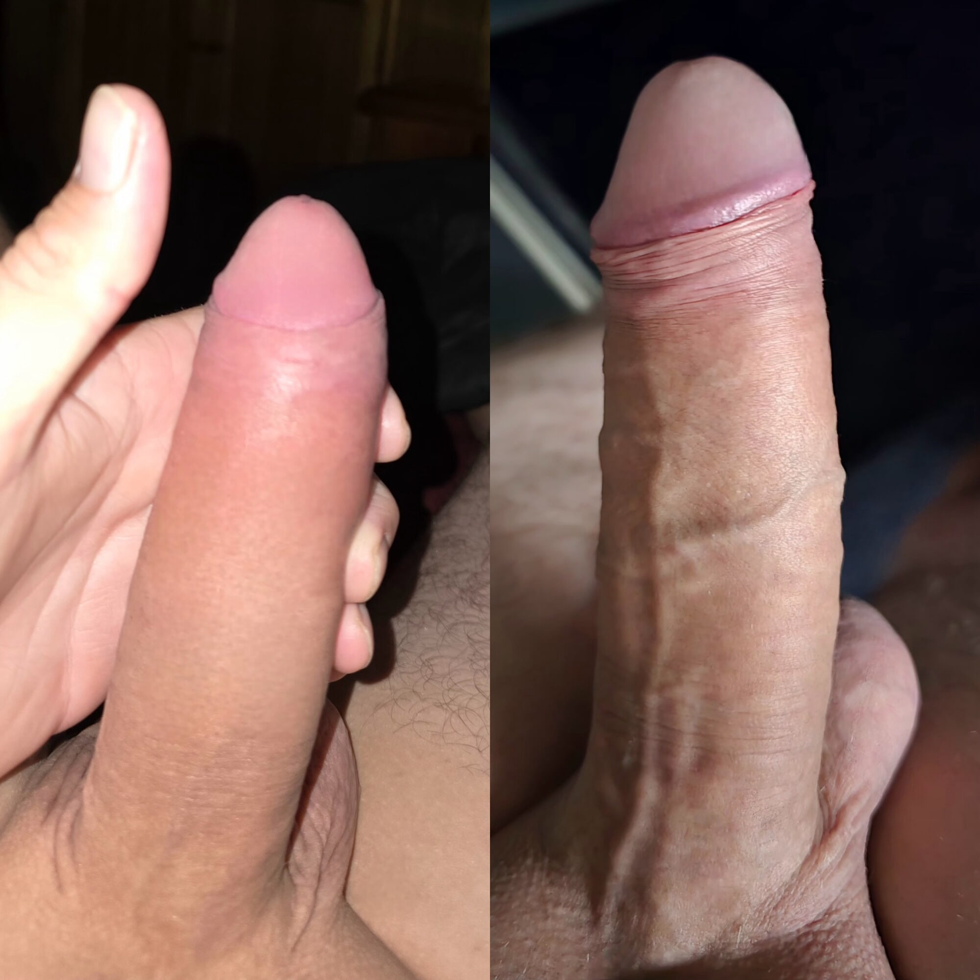 私の硬いチンポ