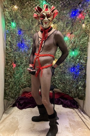 セクシーなハードペニスはボディストッキングでポーズ