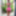 Pink street fantasy at ClubCastings