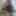 ExhiB ta Bitch_au Balcon 19Mars2024 PariSChienneTrv.Prod Van #2