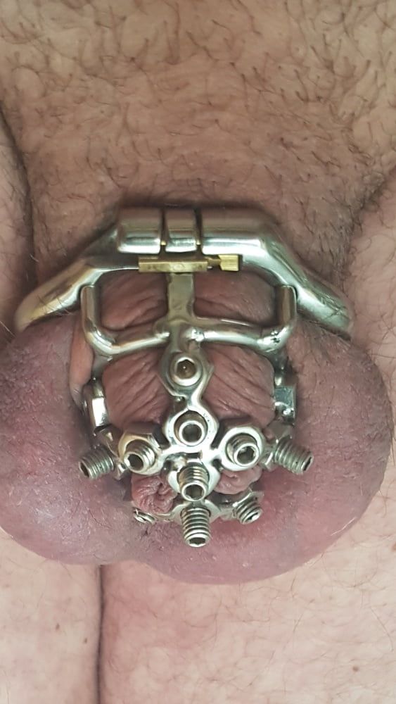 Chastity cage #34