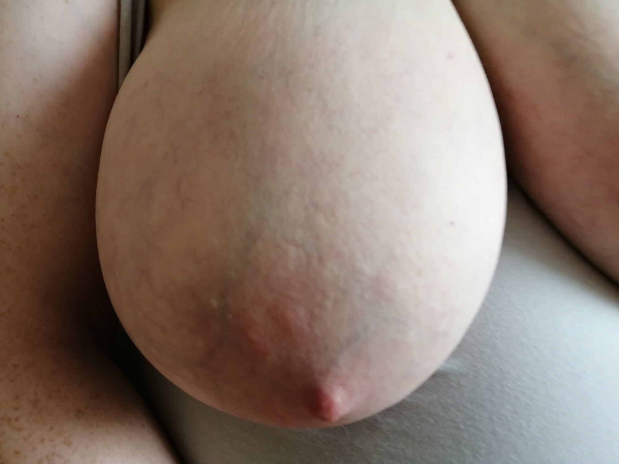 Good-quality photos of my tits #49