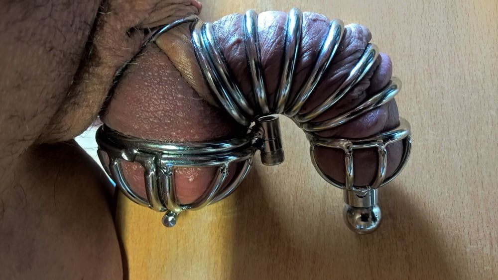 Smallest penis and testicle cage 2 #4