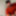 yagan Free Photos #2