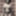 Wave 01: A.I. generated black females  #42