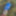 Cover up, reveal #12