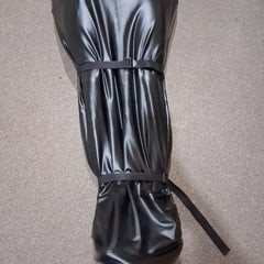 Sissy robinja zatvorena