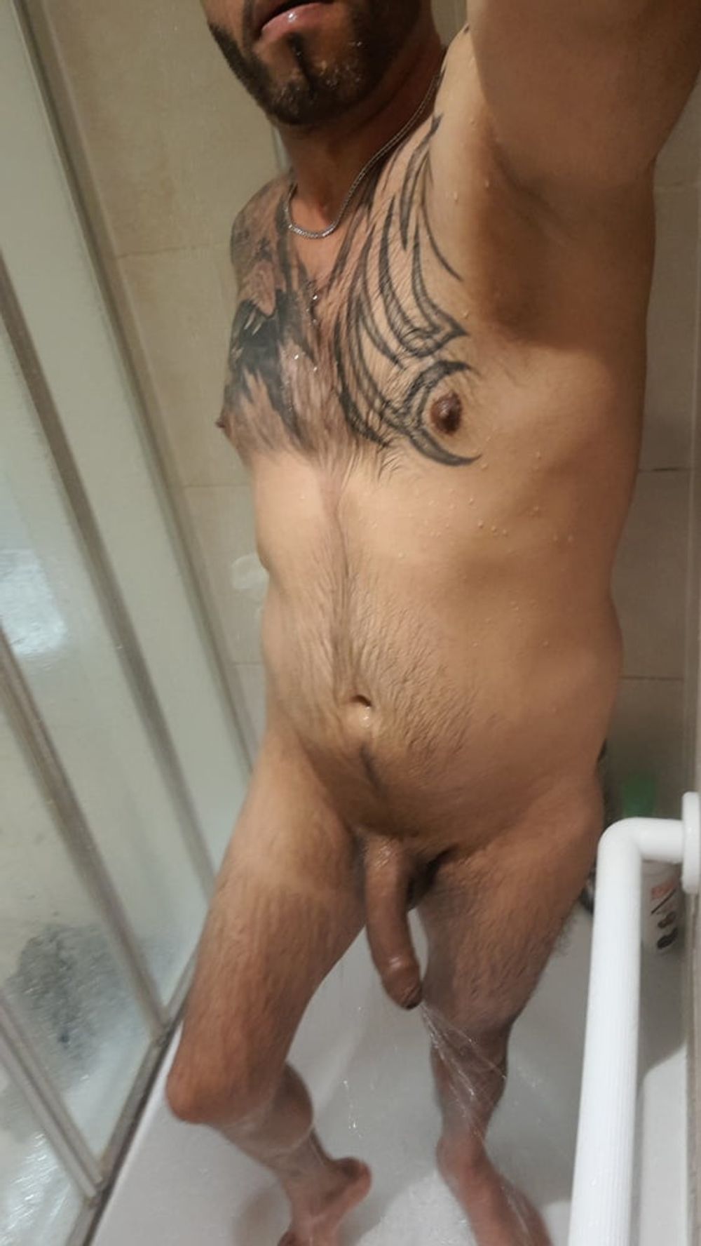 Indian Cock #2