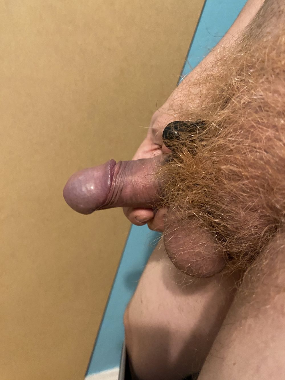 Ginger pubes 2.0