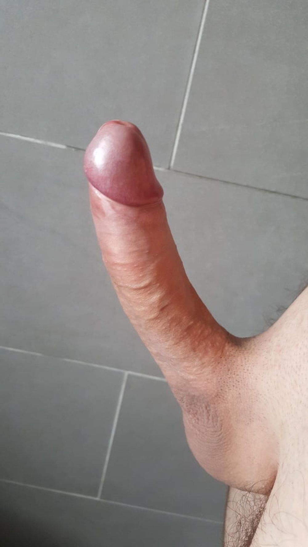 Shaved dicks I love #6