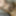 Dick pics full body #4