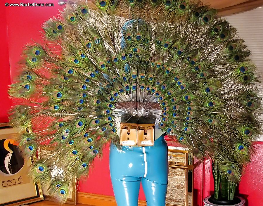 Fabulous Latex Peacock! #26