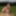 Rainy day in meadow and woman #11