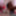 4k Freak Sheisnovember #6 Creampie Nipples BDSM Blowjob Ass  #6
