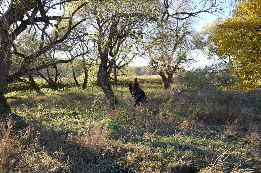 Witch on the Tree #6