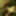 Daring Outdoor Interracial Couple