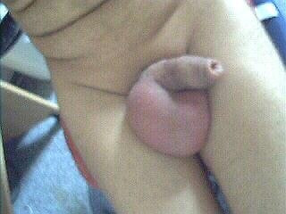 My Cock #29