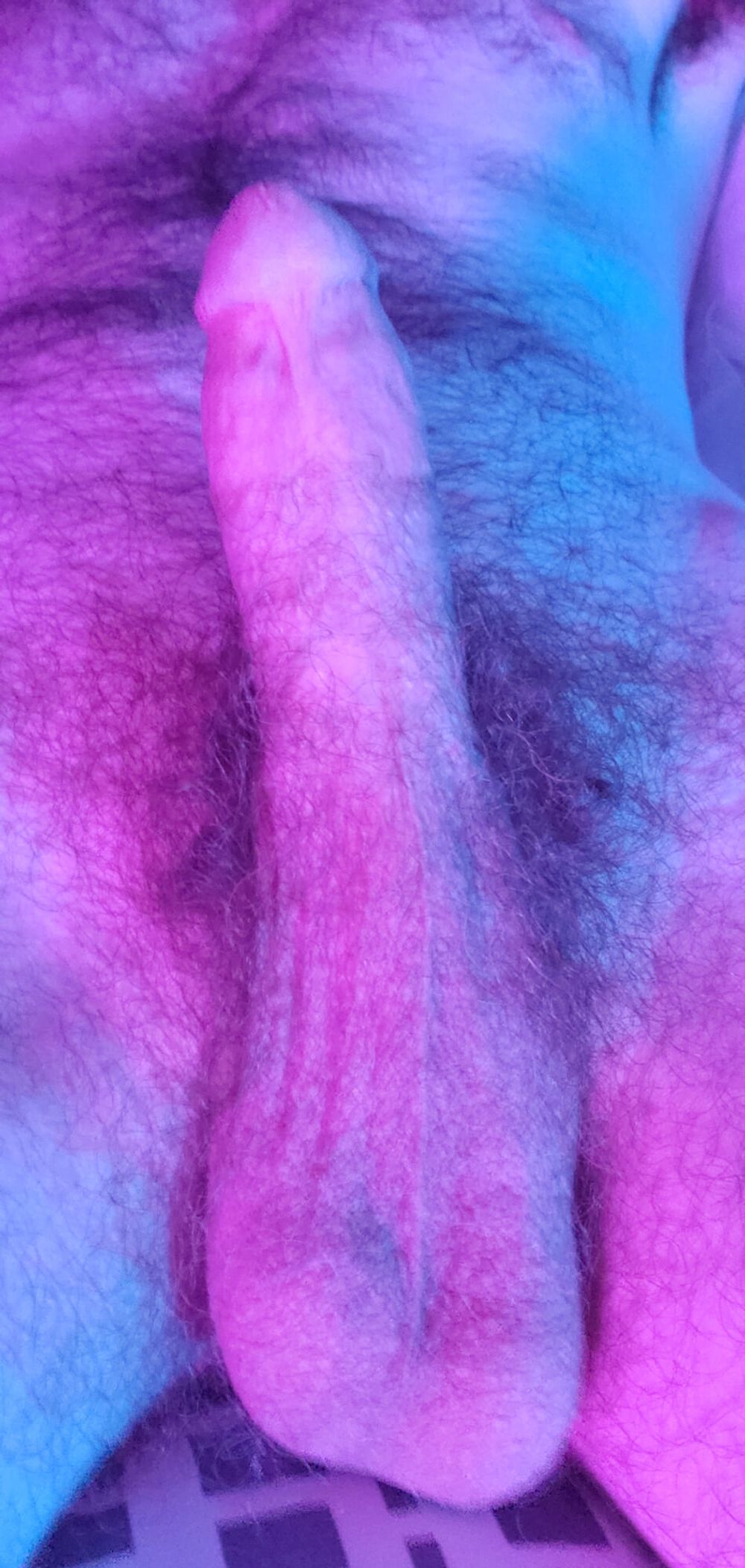 My Hard Cock and Cum in the Purple Light #3