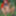 Redhead Outdoors Strips Jeans Off Wearing Pantyhose #57