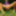 Pantyhose Summer 2020