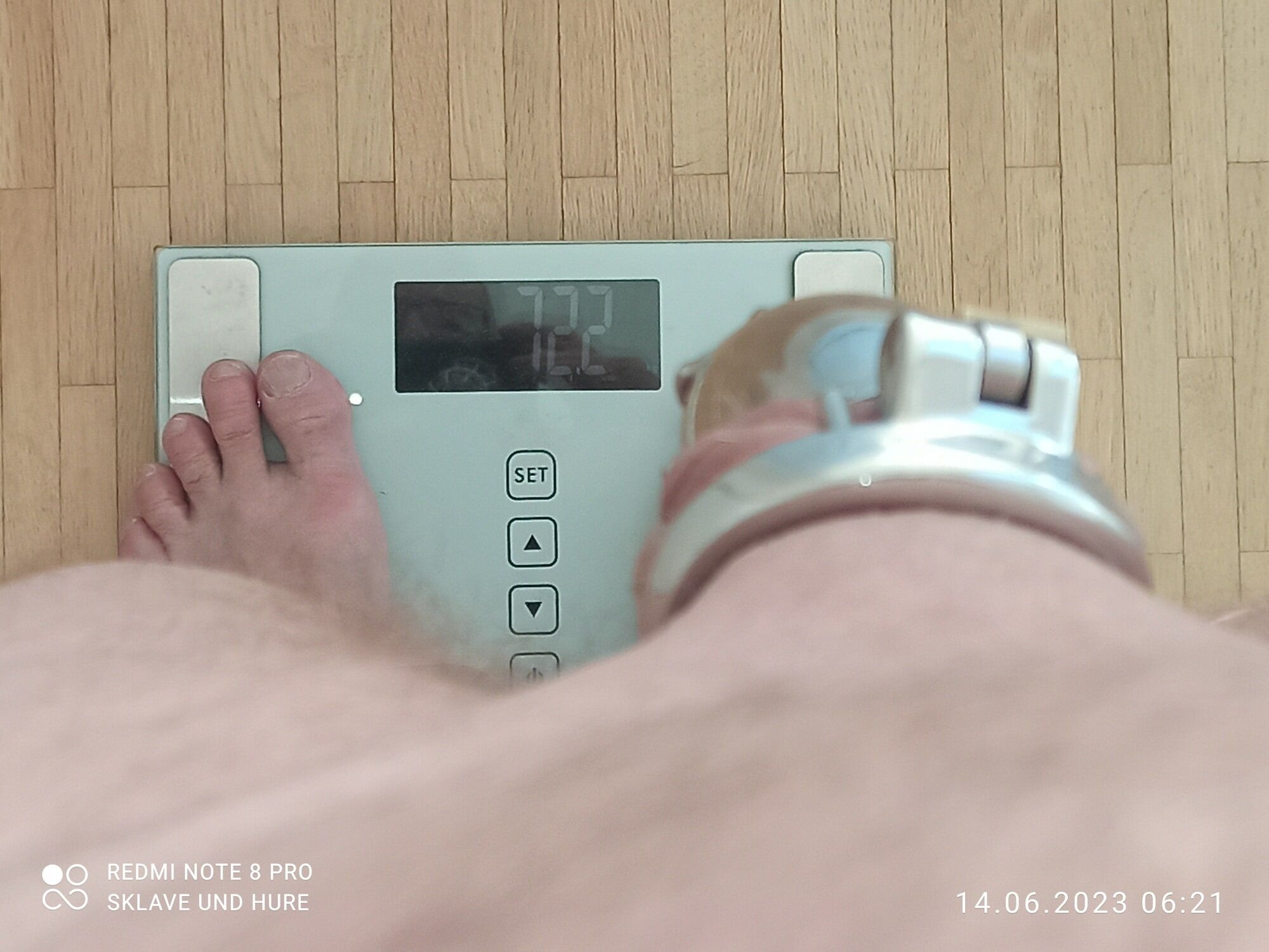 weighing , cagecheck, 14.06.2023