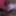4k Freak Sheisnovember #6 Creampie Nipples BDSM Blowjob Ass  #21
