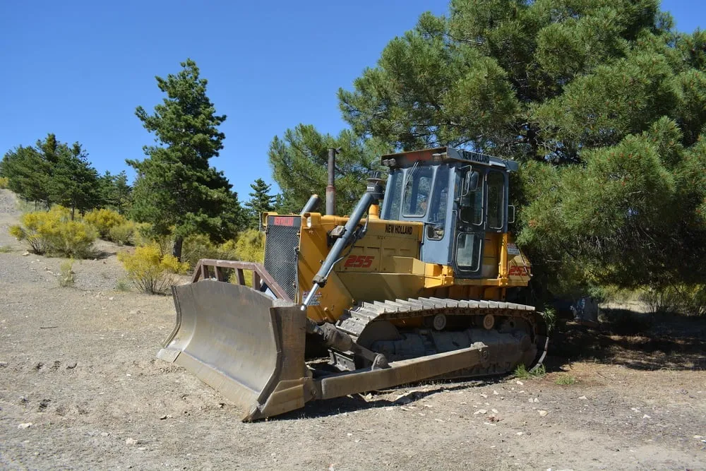 Playing outside with a big toy #2