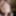 exhibitionist webcam jerking flying cumshot