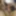 SELF SUCK SELFSUCK AUTOFELLATIO GIFS #5