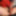 Red Corset Lingerie Cumshot